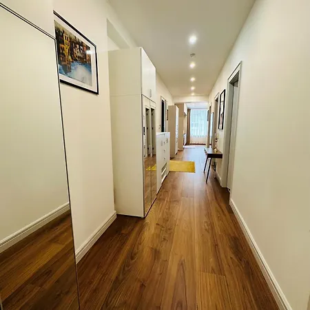 Apartment Spacious Modern And Flat