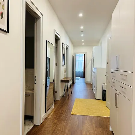 Apartment Spacious Modern And Flat